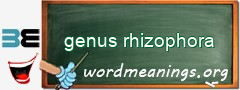 WordMeaning blackboard for genus rhizophora